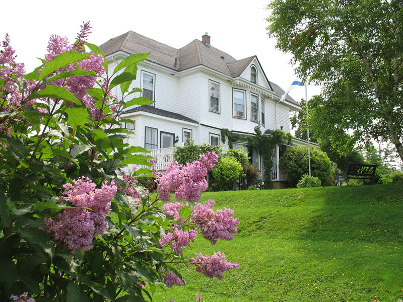 Nelson House Bed & Breakfast (The)