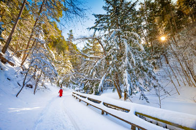 Nova Scotia... a Province for all Seasons